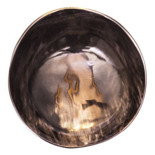 Hornschale Rund Asymmetrie